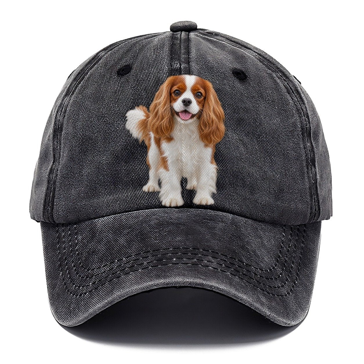Cavalier King Charles Spaniel Standing Top Breeds Classic Cap – Graphite
