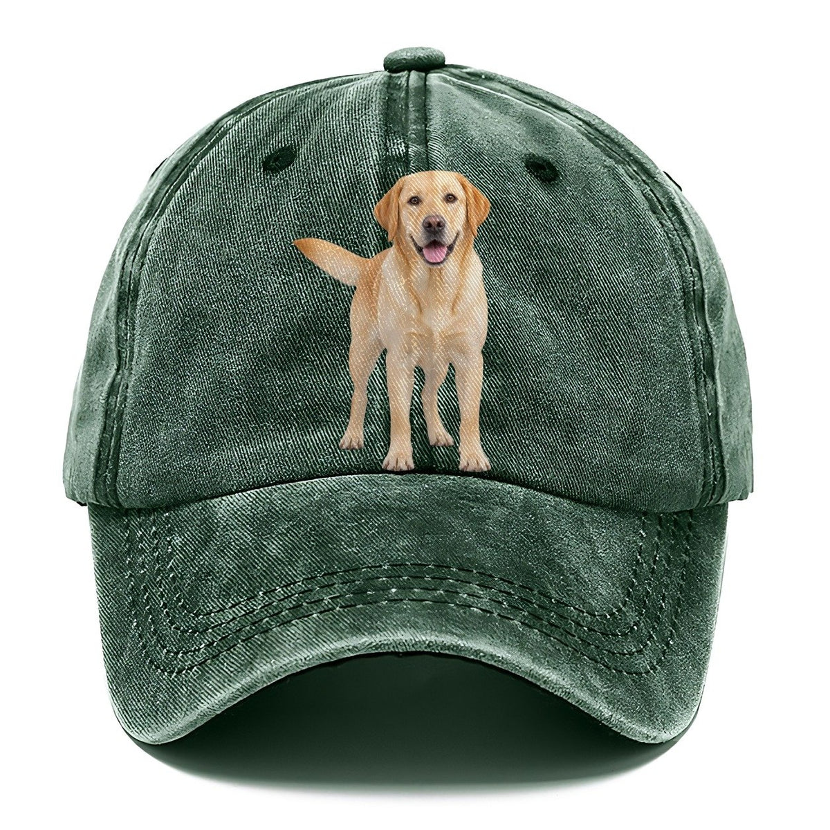 Labrador Retriever Standing Top Breeds Classic Cap – Forest Mist