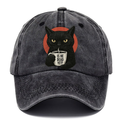Is He Dead Yet Cat Classic Cap – Graphite