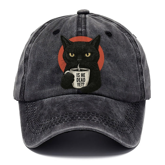 Is He Dead Yet Cat Classic Cap – Graphite