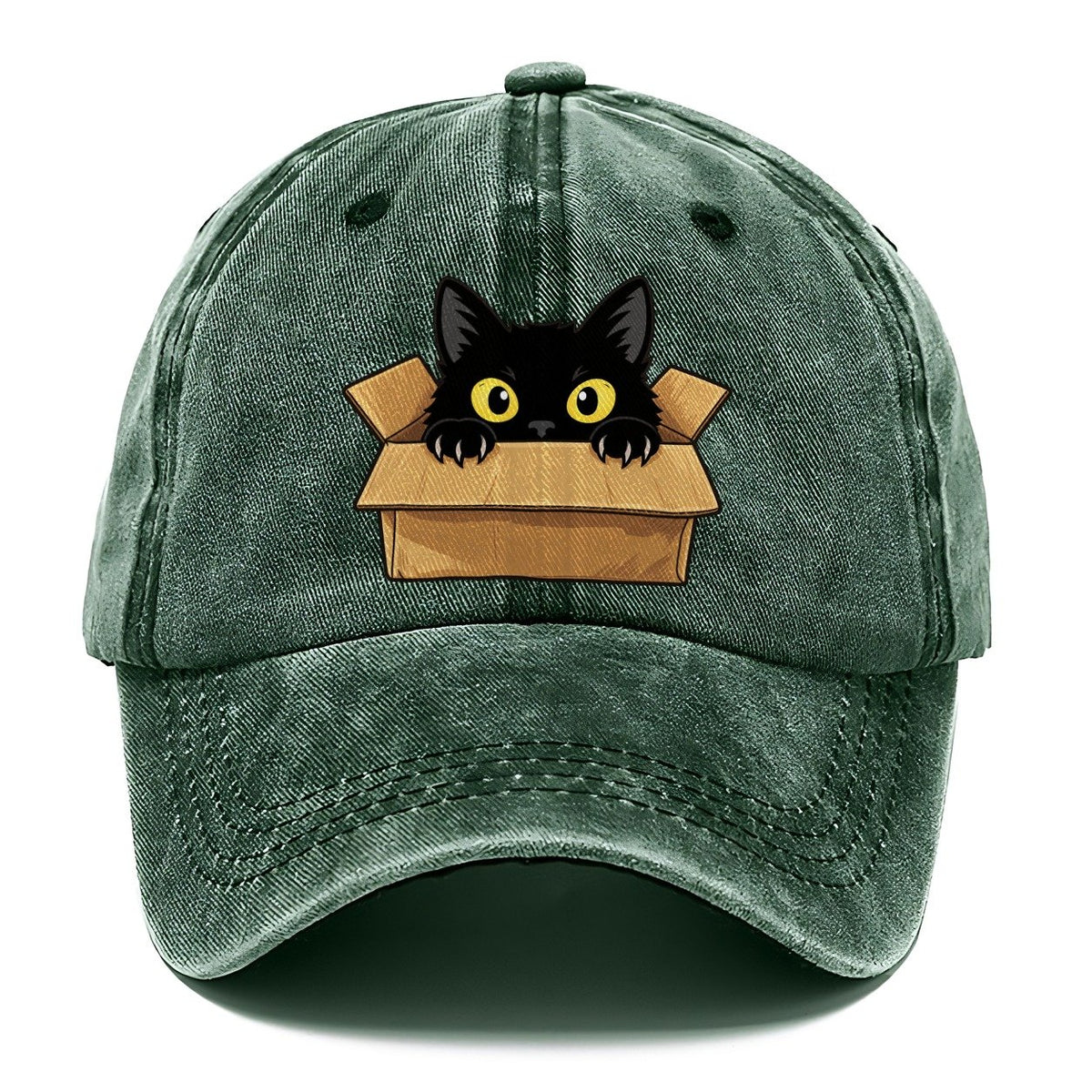 Black Cat Cardboard Box Fan Favorites Classic Cap – Forest Mist