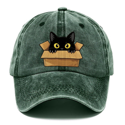 Black Cat Cardboard Box Fan Favorites Classic Cap – Forest Mist