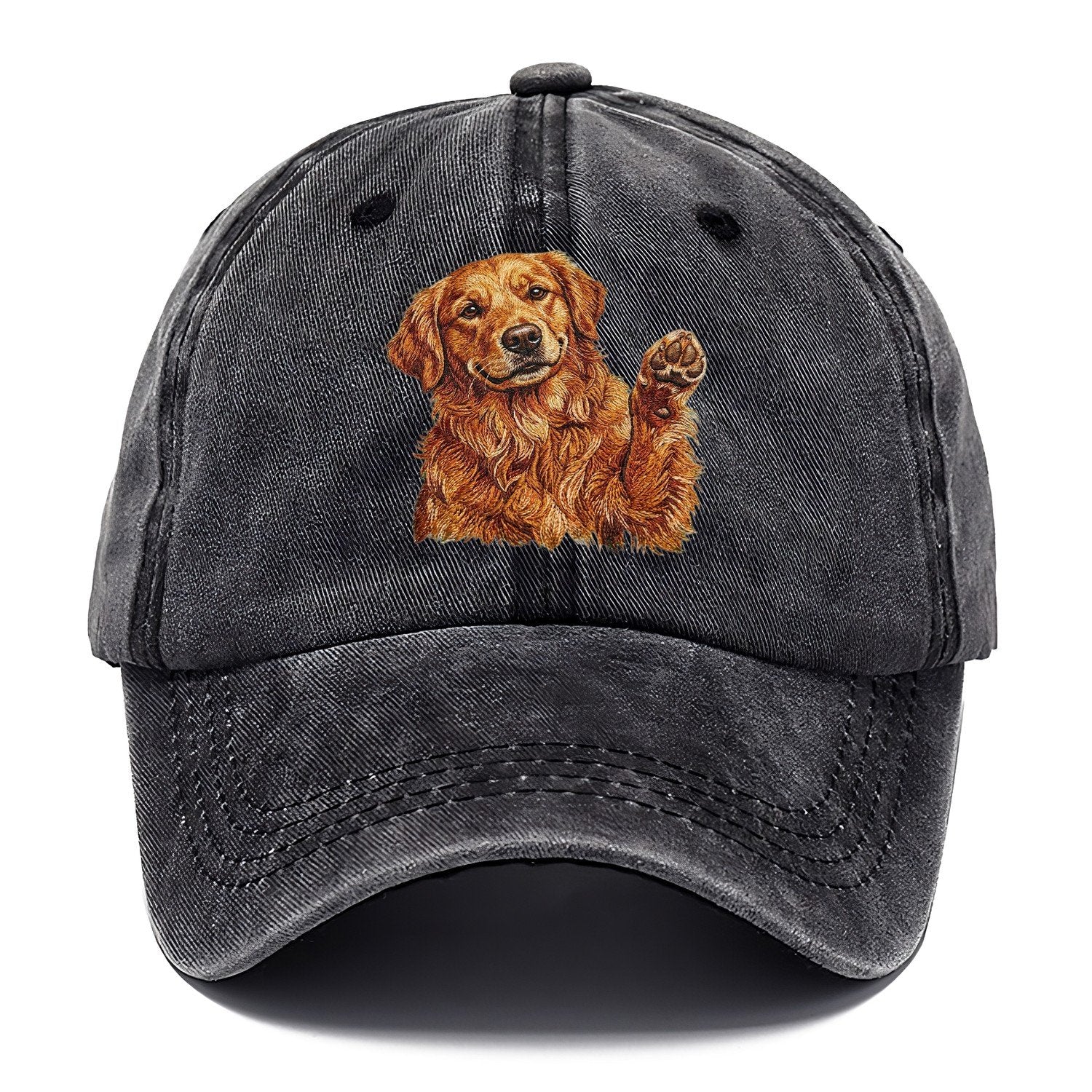 Golden Retriever Embroidered Classic Cap – Graphite