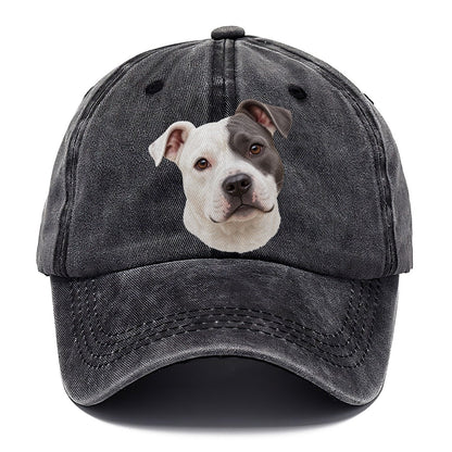 Staffy Curious Eye Patch Pastimes Companions Classic Cap – Graphite