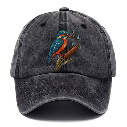 Kingfisher Rain Pause Gentle Wild Classic Cap – Graphite