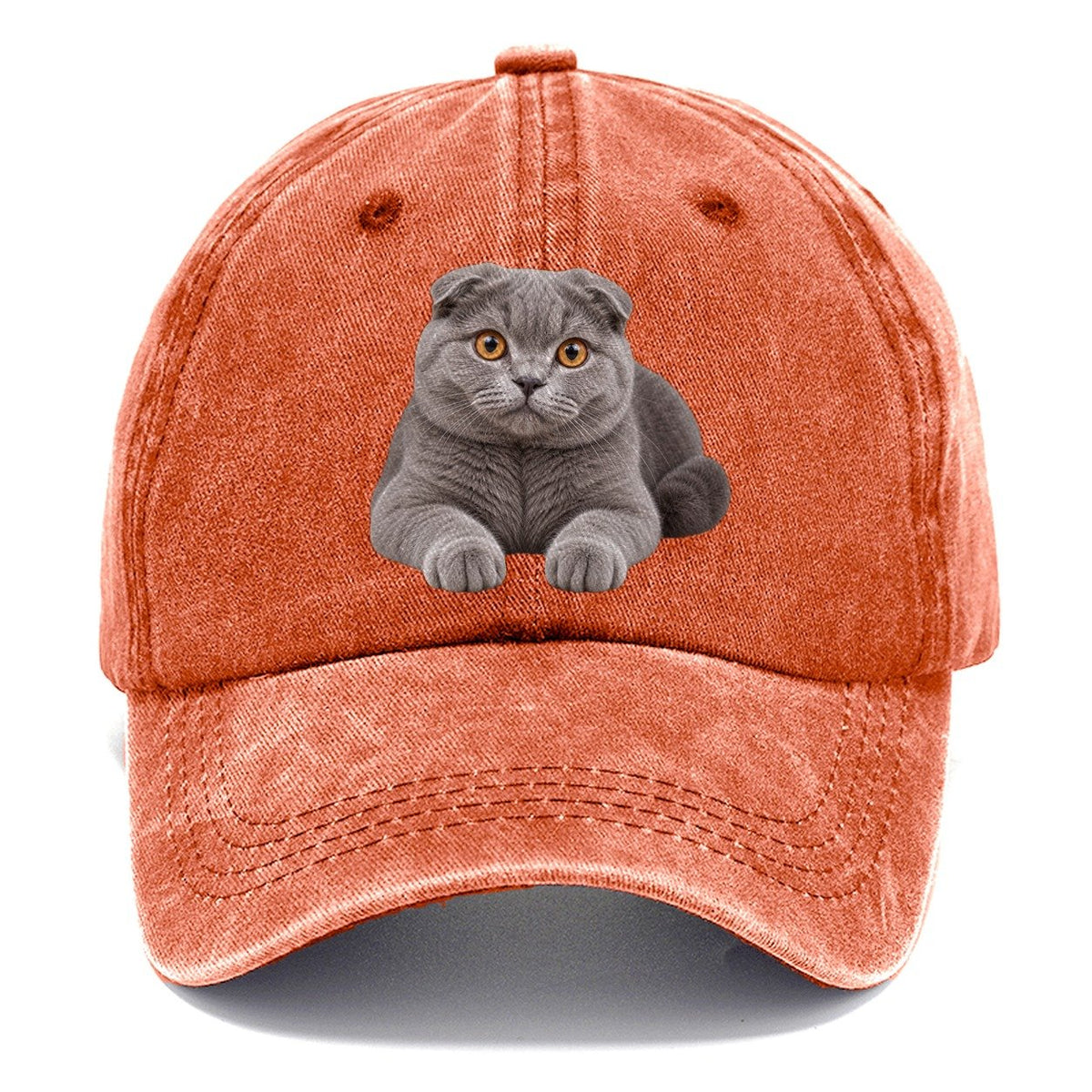 Scottish Fold Reclining Paws Forward Realistic Cat Portrait Classic Cap – Terracotta Clay