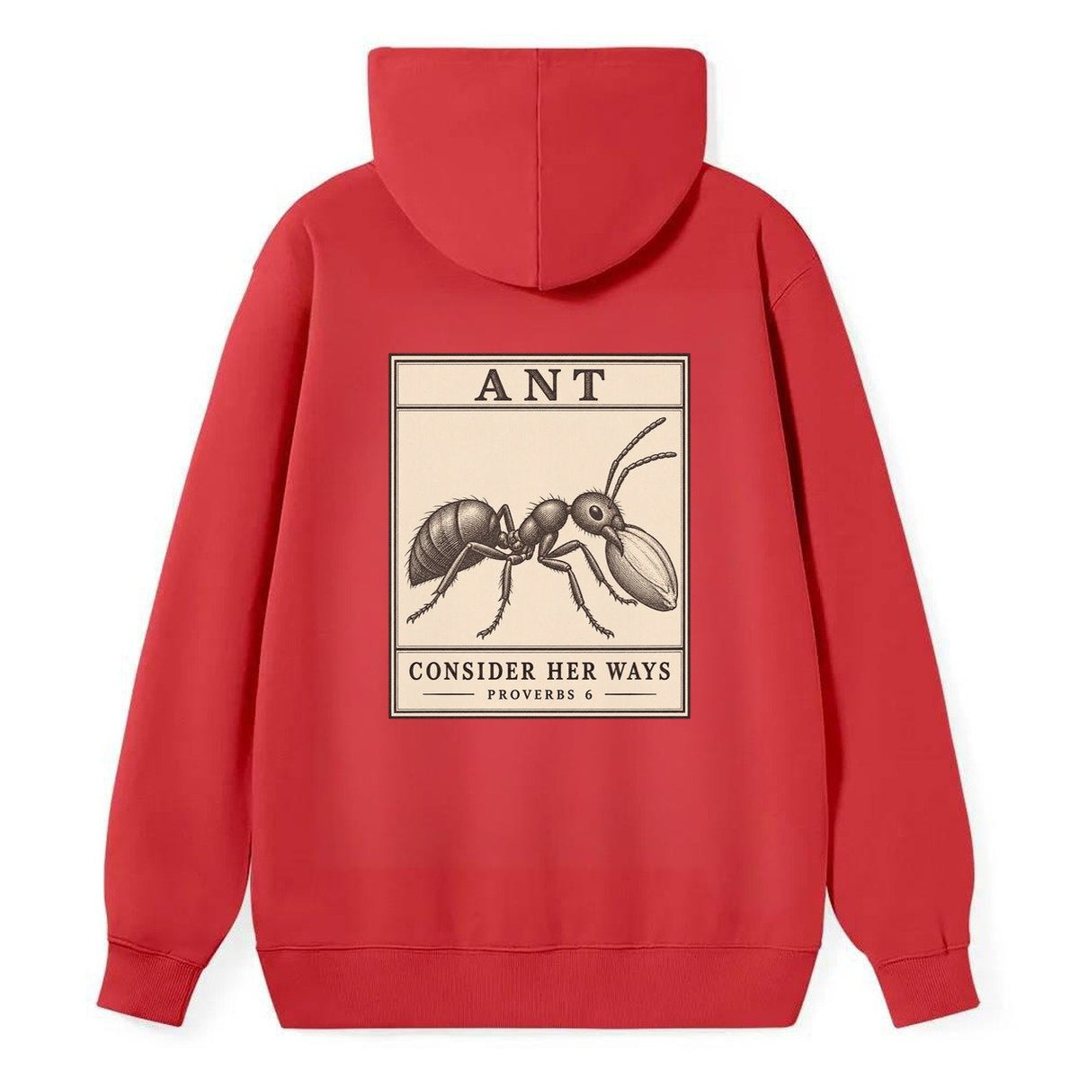 Ant Specimen Plate Creature Canticle Classic Pullover Hoodie – Red