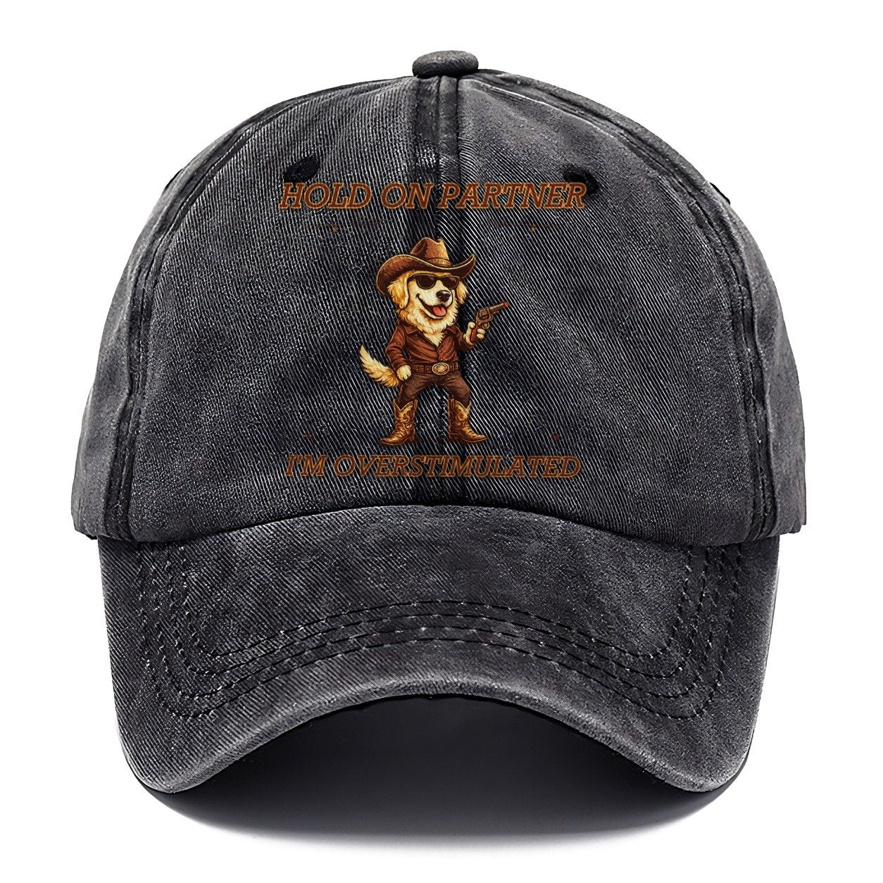 Hold On Partner Golden Retriever Classic Cap – Graphite