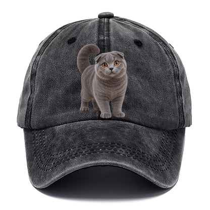 Scottish Fold Standing Three Quarter Realistic Cat Portrait Classic Cap – Graphite