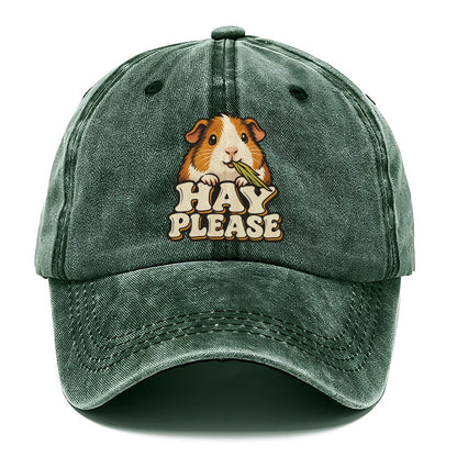 Hay Please Small Pet Logos Classic Cap – Forest Mist