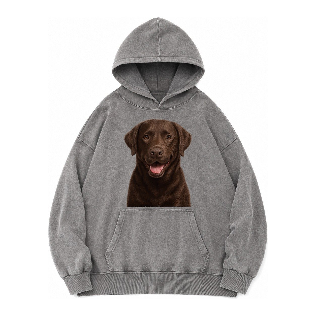 Labrador Friendly Family Vintage Washed Hoodie – Grey