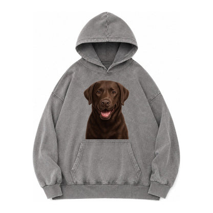 Labrador Friendly Family Vintage Washed Hoodie – Grey