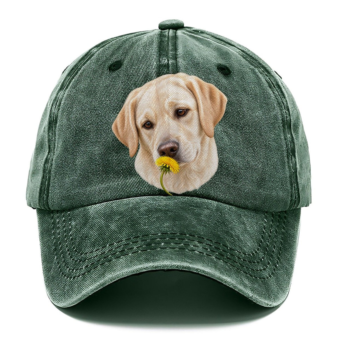 Cream Labrador Dandelion Pause Pastimes Companions Classic Cap – Forest Mist