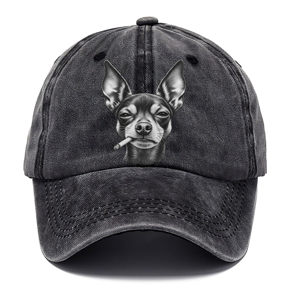 Miniature Pinscher Smoking Dogs Classic Cap – Graphite