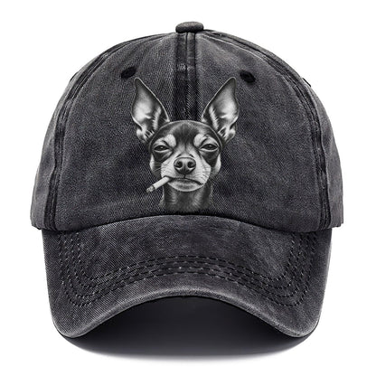 Miniature Pinscher Smoking Dogs Classic Cap – Graphite