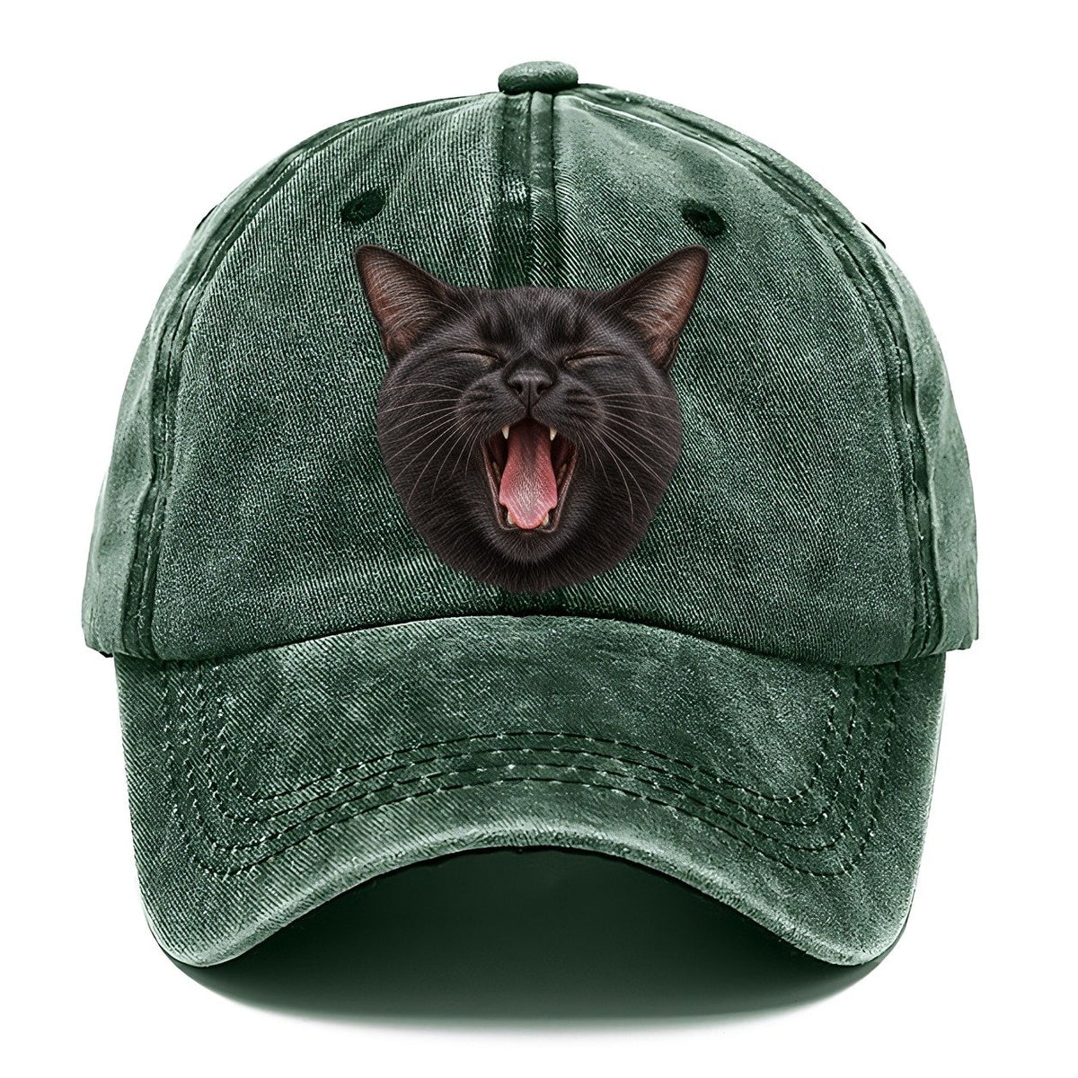 Black Cat Velvet Yawn Pastimes Companions Classic Cap – Forest Mist
