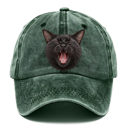 Black Cat Velvet Yawn Pastimes Companions Classic Cap – Forest Mist
