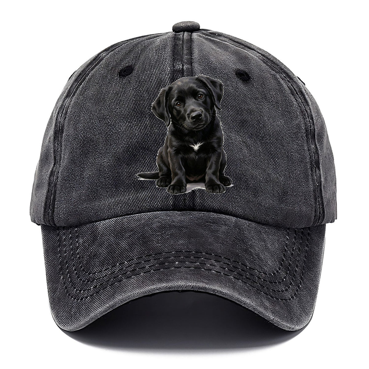 Black Puppy Classic Cap – Graphite