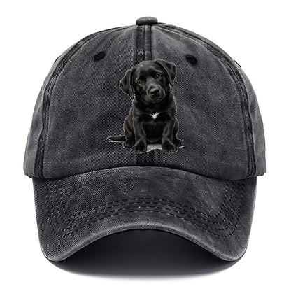 Black Puppy Classic Cap – Graphite
