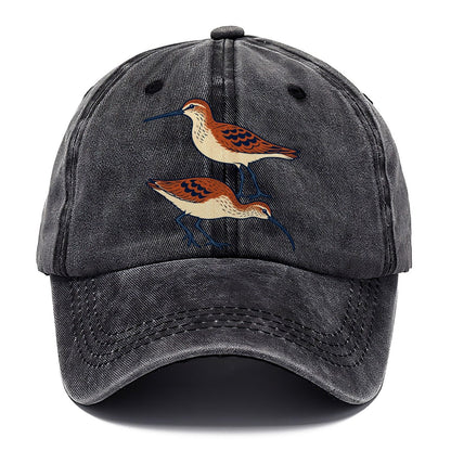 Shorebird Profile Study Birdwatching Classic Cap – Graphite