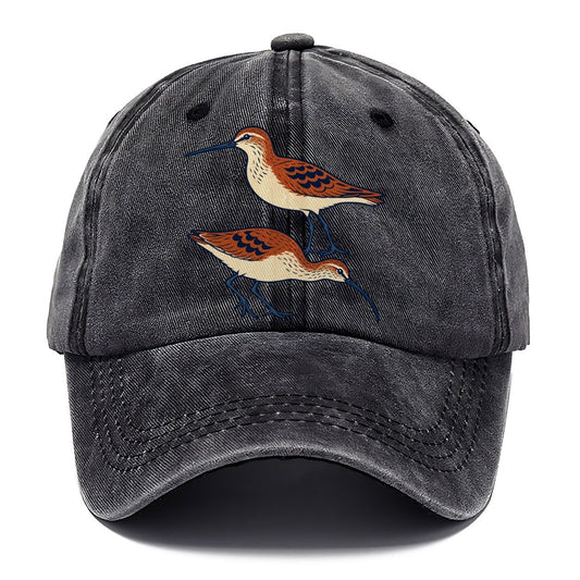 Shorebird Profile Study Birdwatching Classic Cap – Graphite