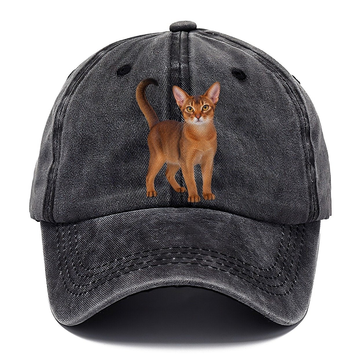 Abyssinian Standing Three Quarter Realistic Cat Portrait Classic Cap – Graphite