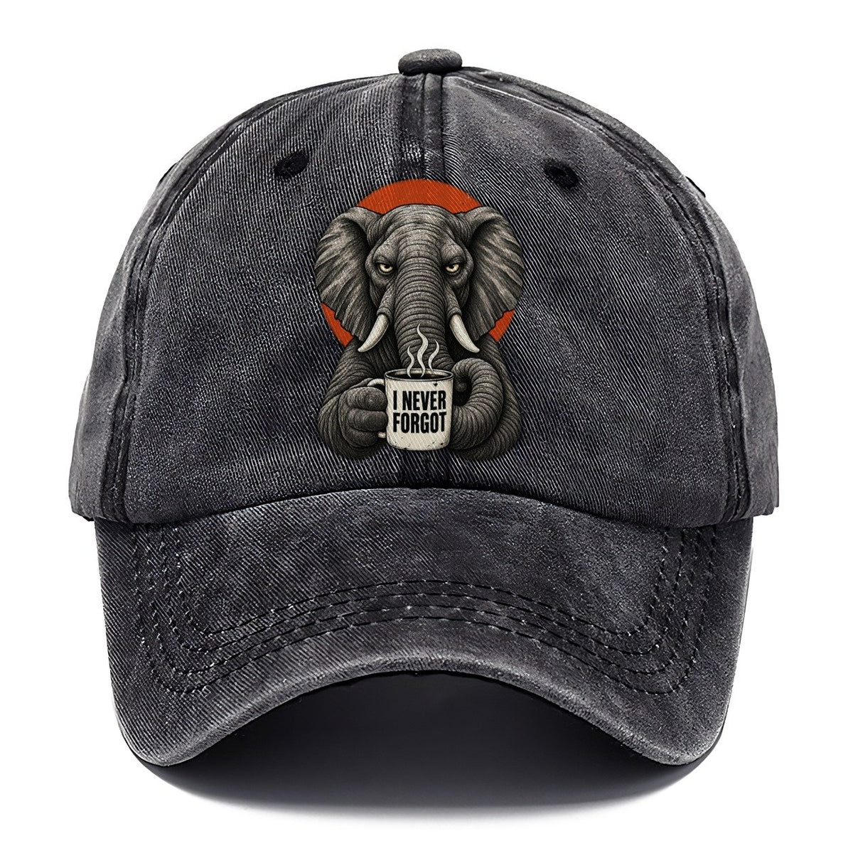 Elephant Mug Truths Classic Cap – Graphite