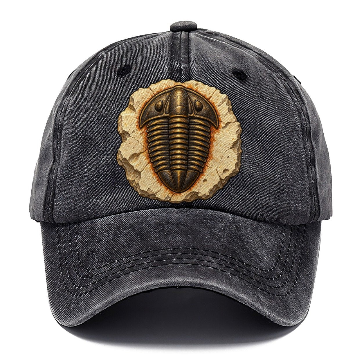 Trilobite In Limestone Rocks And Minerals Classic Cap – Graphite