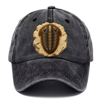 Trilobite In Limestone Rocks And Minerals Classic Cap – Graphite