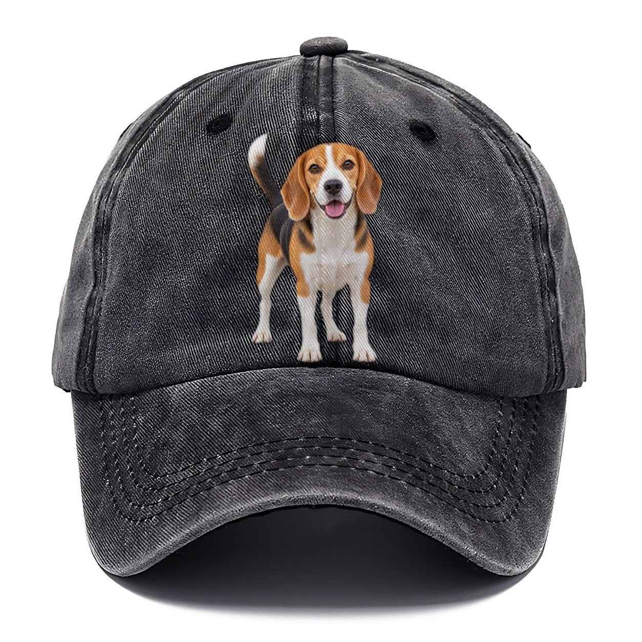 Beagle Standing Top Breeds Classic Cap – Graphite