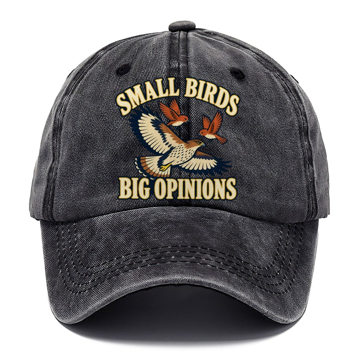Small Birds Big Opinions Birdwatching Classic Cap – Graphite