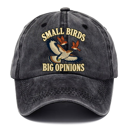 Small Birds Big Opinions Birdwatching Classic Cap – Graphite