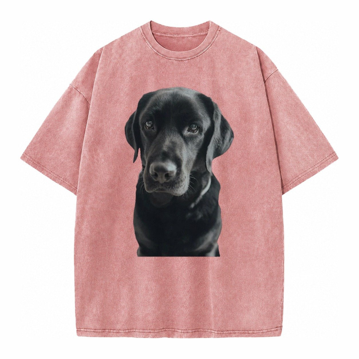 Black Labrador Vintage T-shirt – Dusty Rose