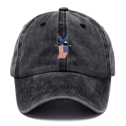 Eagle Flag Logo Classic Cap – Graphite