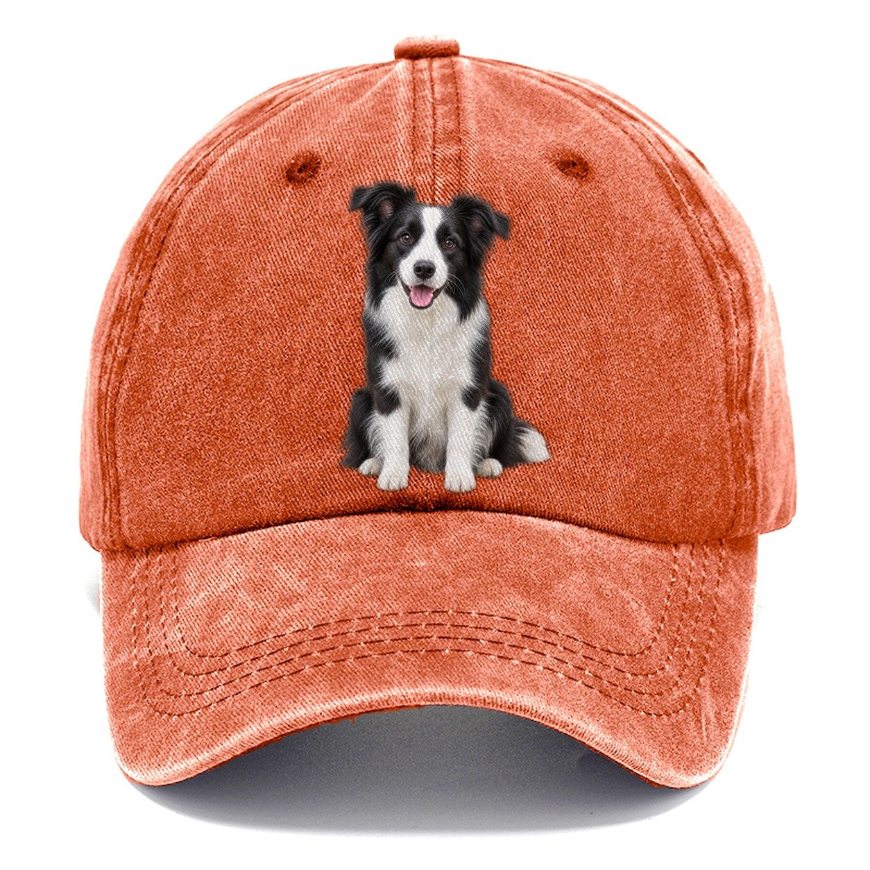 Border Collie Sitting Top Breeds Classic Cap – Terracotta Clay