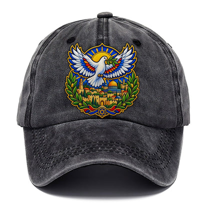 Dove Over The City Jerusalem Classic Cap – Graphite