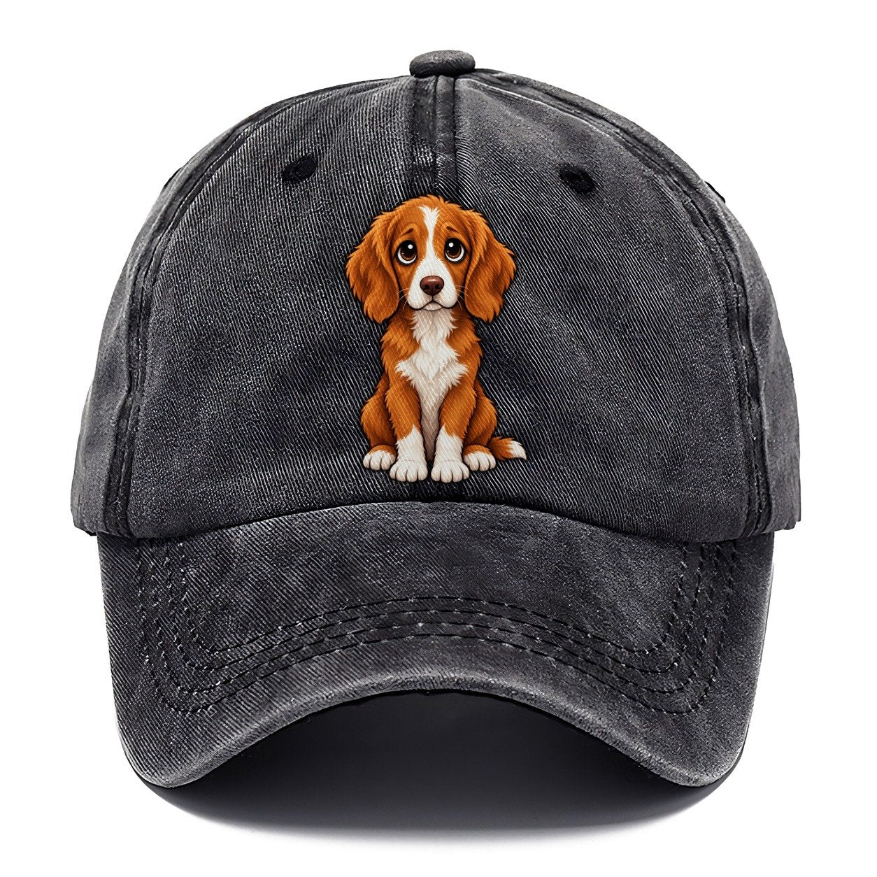 Nova Scotia Duck Tolling Retriever Sitting Sweetheart Classic Cap – Graphite