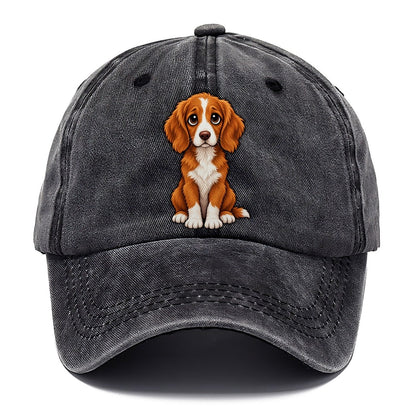 Nova Scotia Duck Tolling Retriever Sitting Sweetheart Classic Cap – Graphite