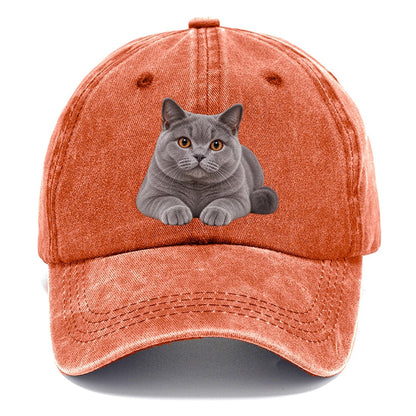 British Shorthair Reclining Paws Forward Realistic Cat Portrait Classic Cap – Terracotta Clay
