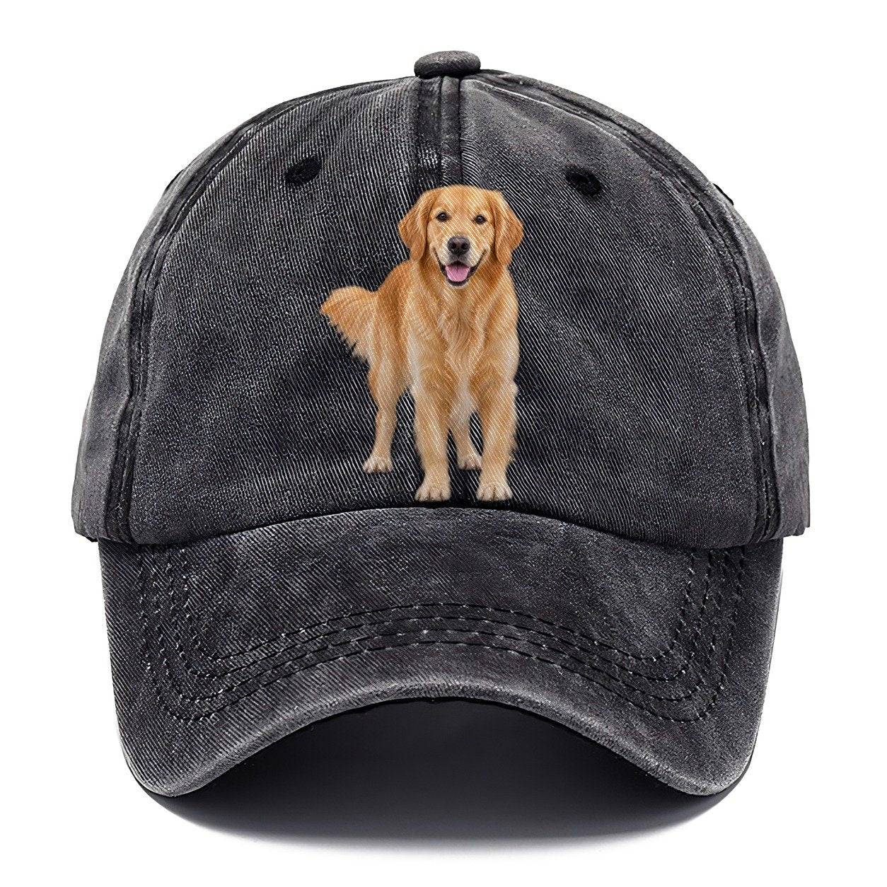Golden Retriever Standing Top Breeds Classic Cap – Graphite