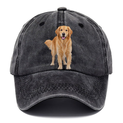 Golden Retriever Standing Top Breeds Classic Cap – Graphite