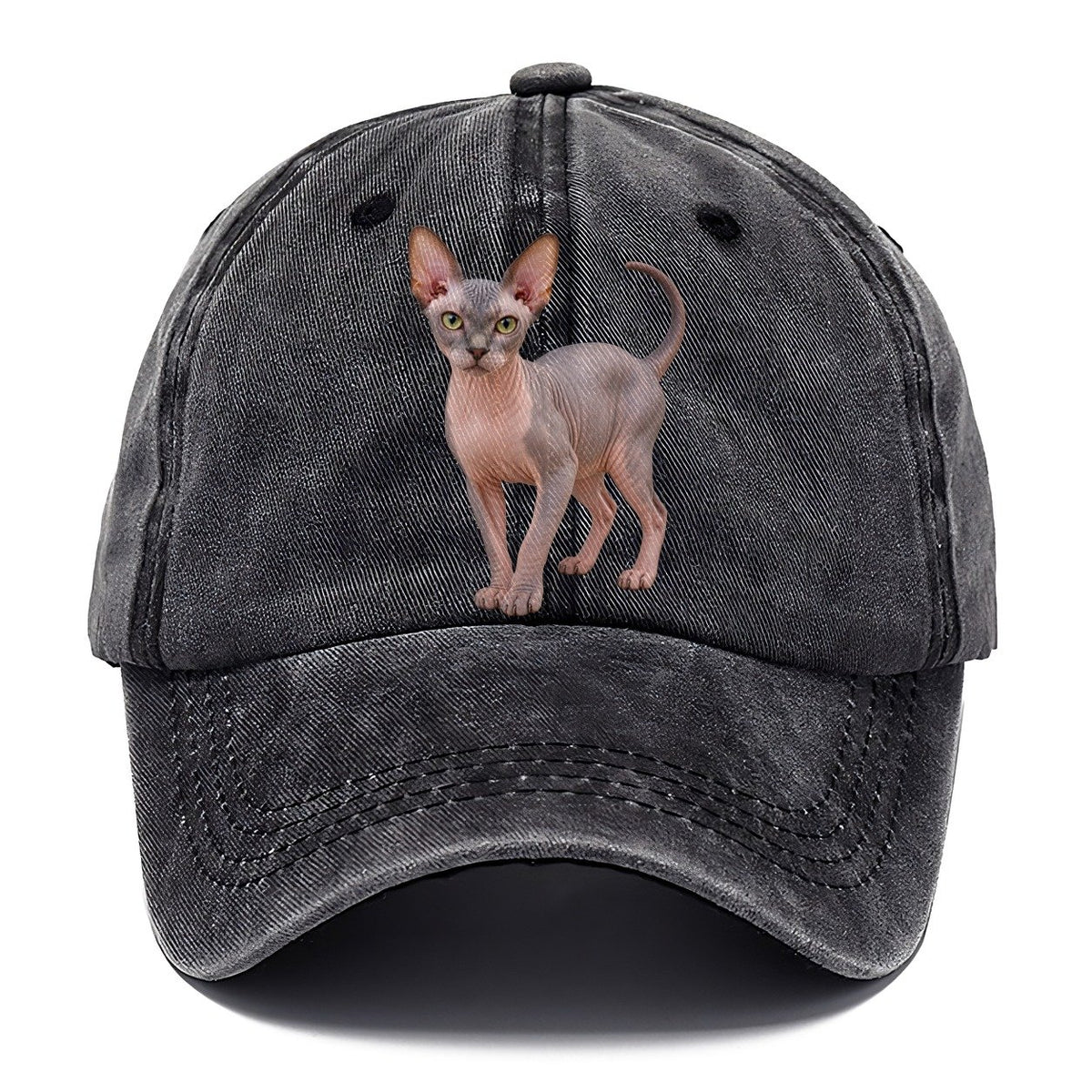 Sphynx Standing Three Quarter Realistic Cat Portrait Classic Cap – Graphite