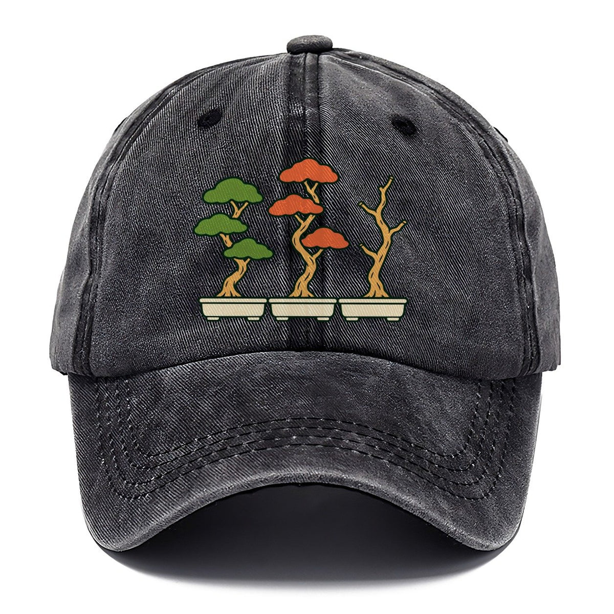 Three Season Set Bonsai Classic Cap – Graphite