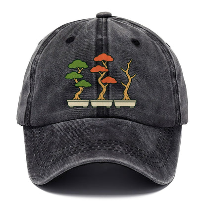 Three Season Set Bonsai Classic Cap – Graphite