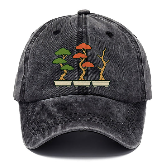 Three Season Set Bonsai Classic Cap – Graphite