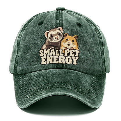 Small Pet Energy Small Pet Logos Classic Cap – Forest Mist