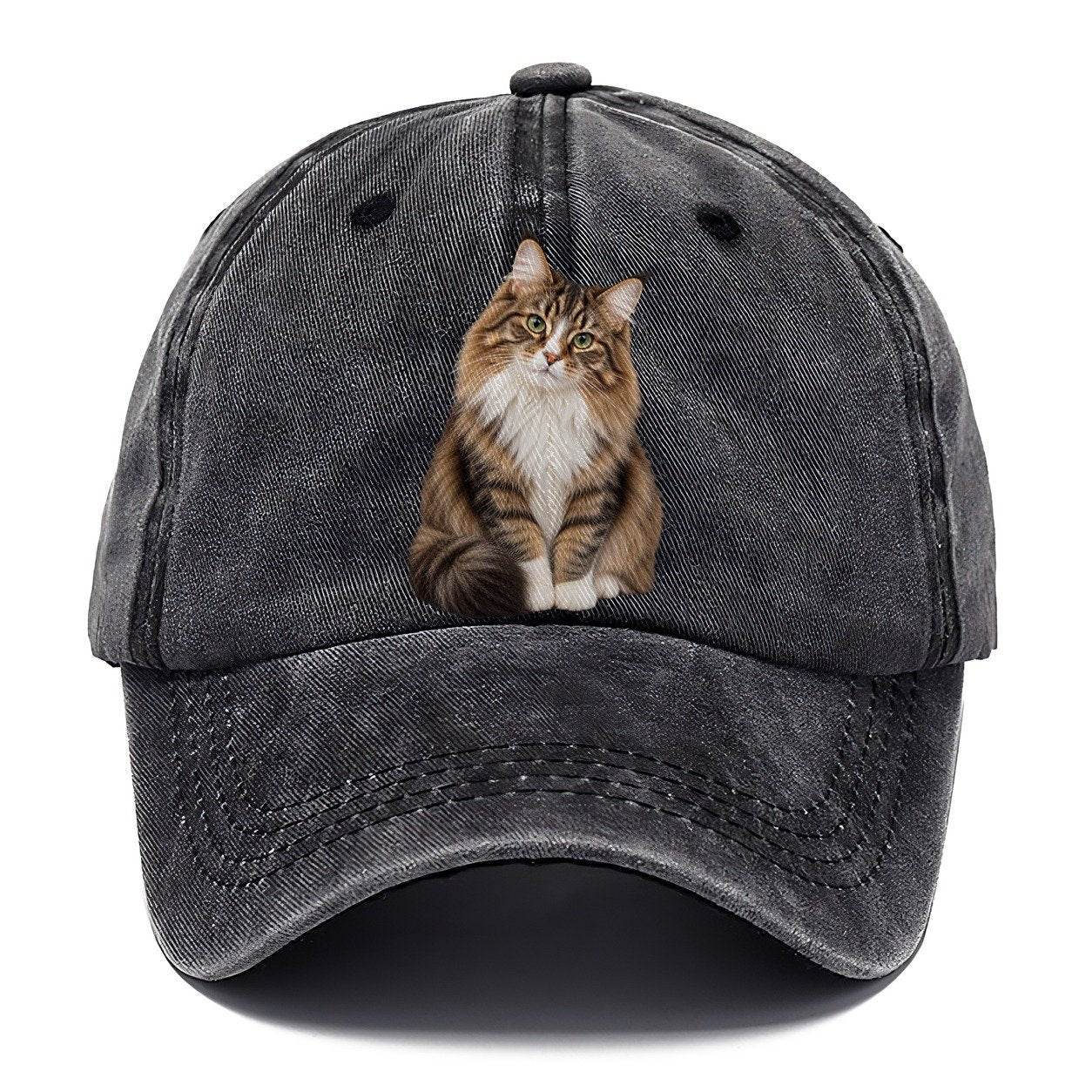 Norwegian Forest Cat Seated Portrait Realistic Cat Portrait Classic Cap – Graphite