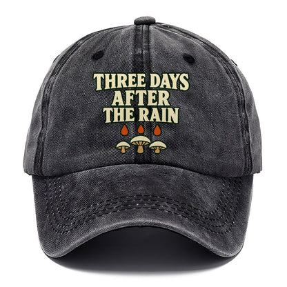 Three Days After The Rain Foraging And Mycology Classic Cap – Graphite