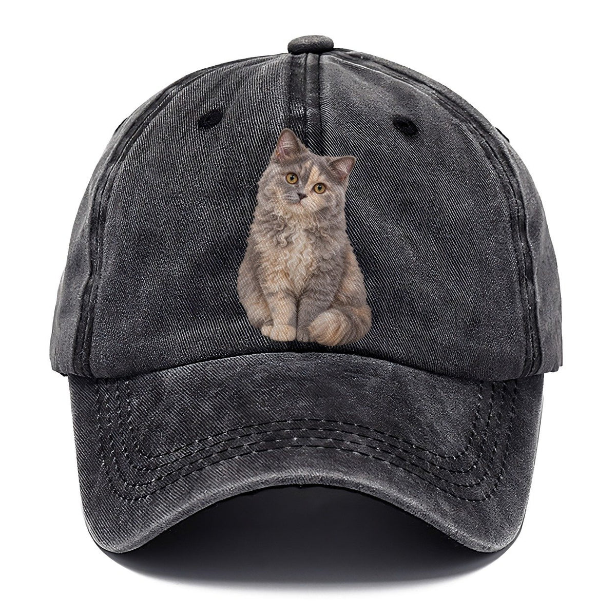 Selkirk Rex Seated Portrait Realistic Cat Portrait Classic Cap – Graphite