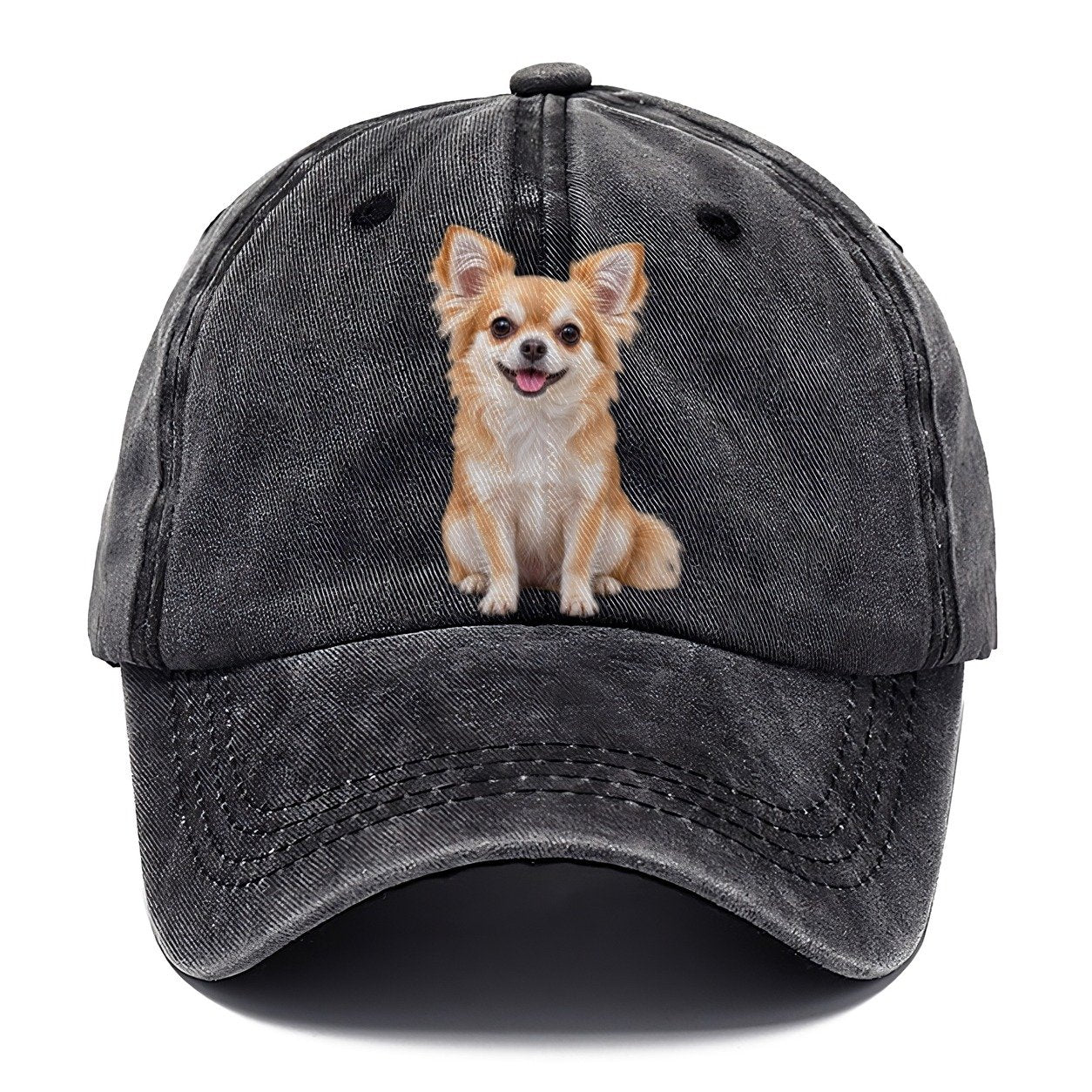 Chihuahua Sitting Top Breeds Classic Cap – Graphite